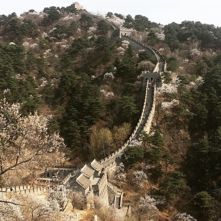 Vue de la Grande Muraille de Chine s'étendant sur les collines.