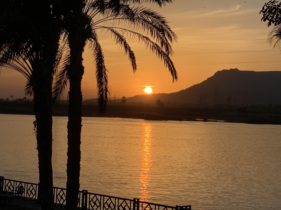 Sunset over the Nile River with palm trees in silhouette.