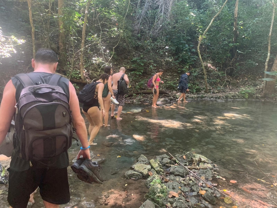 Des personnes qui font de la randonnée dans une zone boisée près d'un ruisseau.