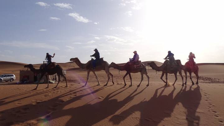 Camels and riders casting long shadows on desert sand.