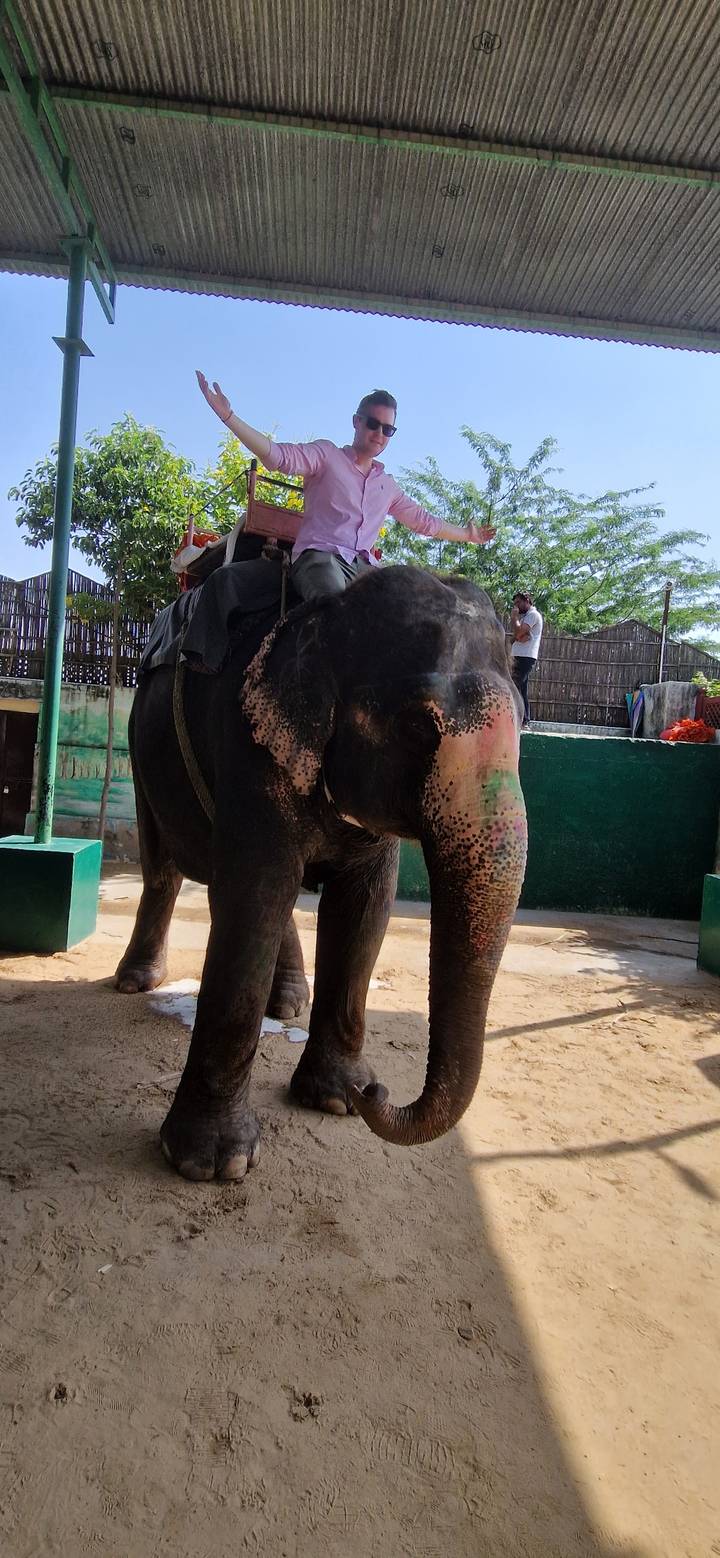 Personne montant un éléphant.