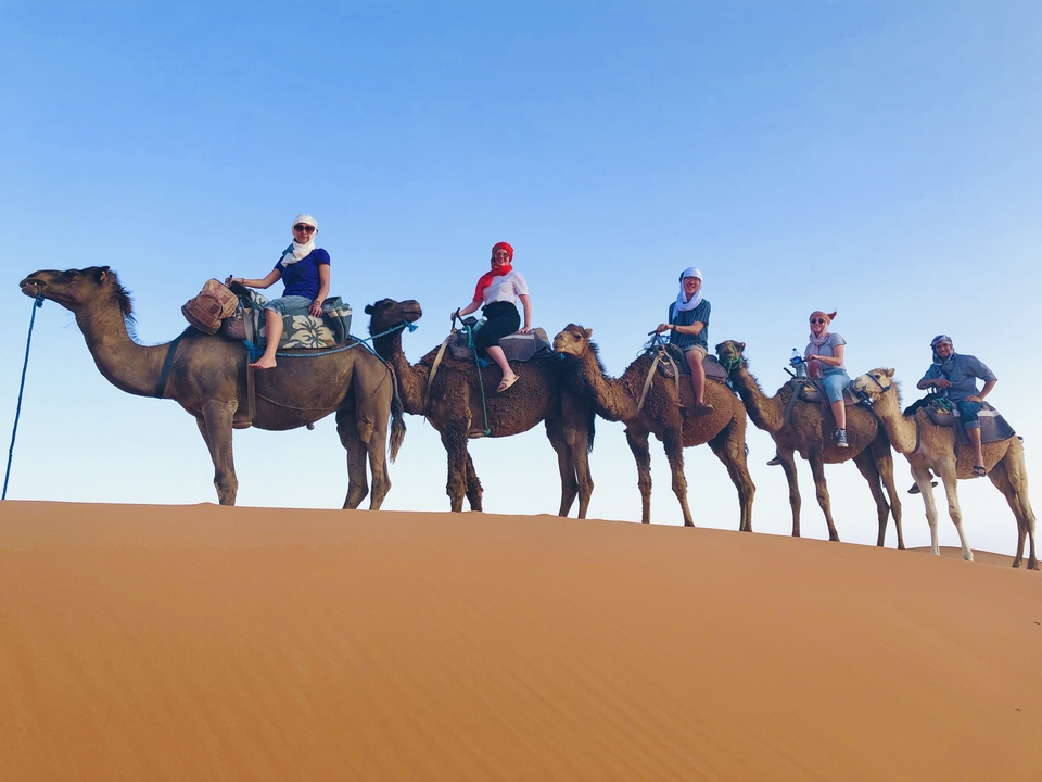Group riding camels on sand dunes