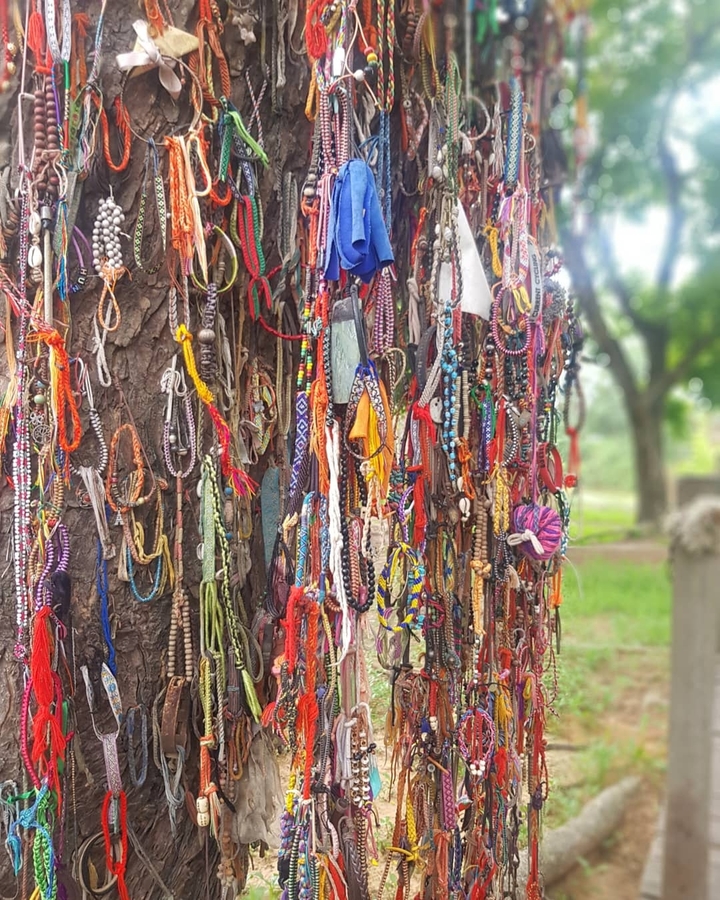 Colorful decorations and strings hanging from a tree.