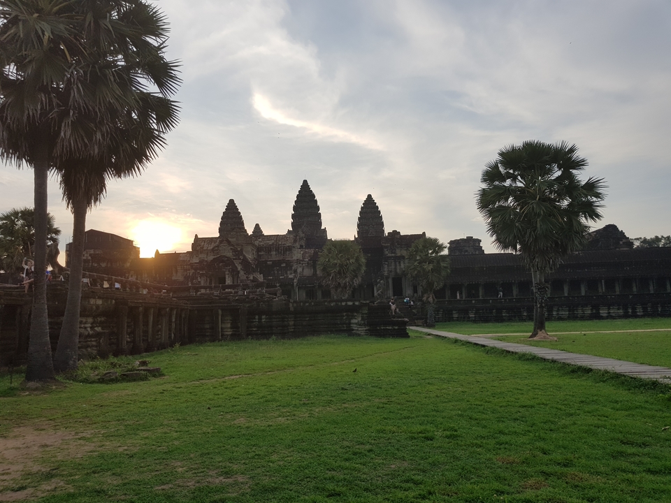 Angkor Wat temple with silhouettes of palm trees.