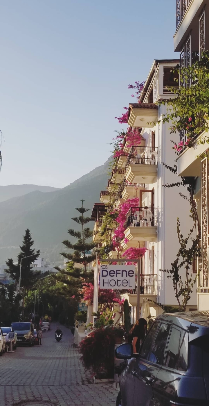 A hotel with flowered balconies against a mountain backdrop.