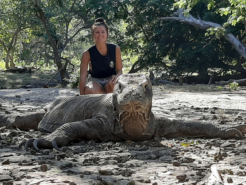 A person crouching near a large Komodo dragon.