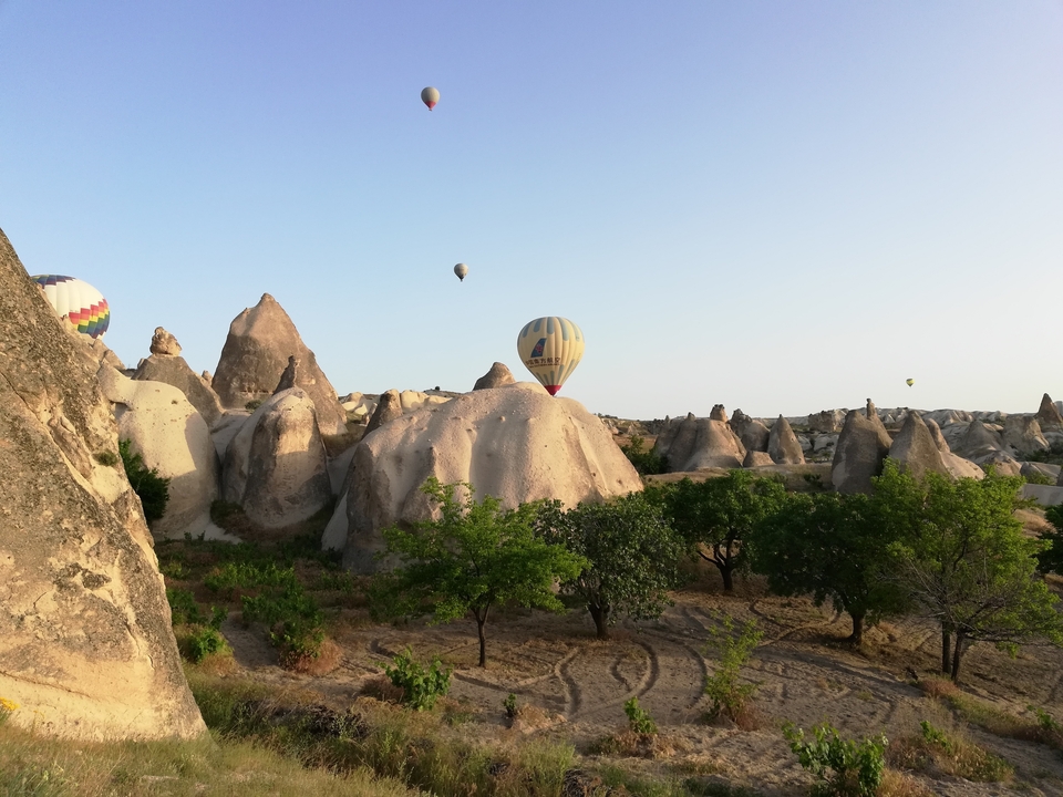 image-44
