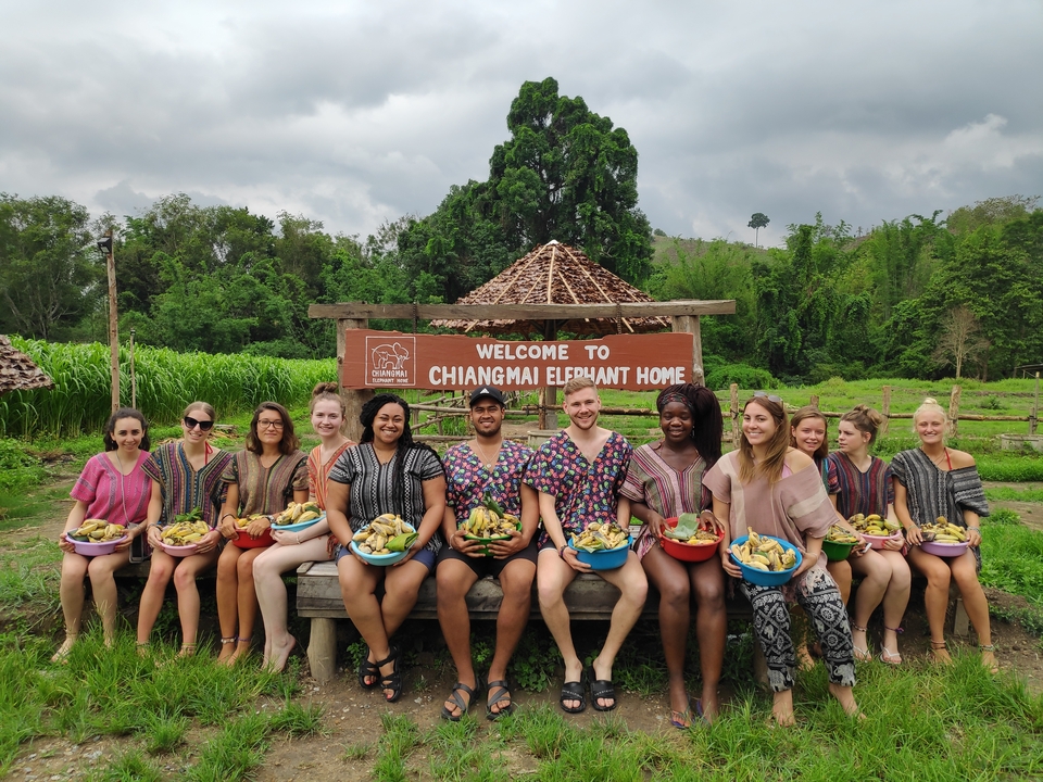 Group of people with baskets of bananas in front of Chiangmai Elephant Home sign.