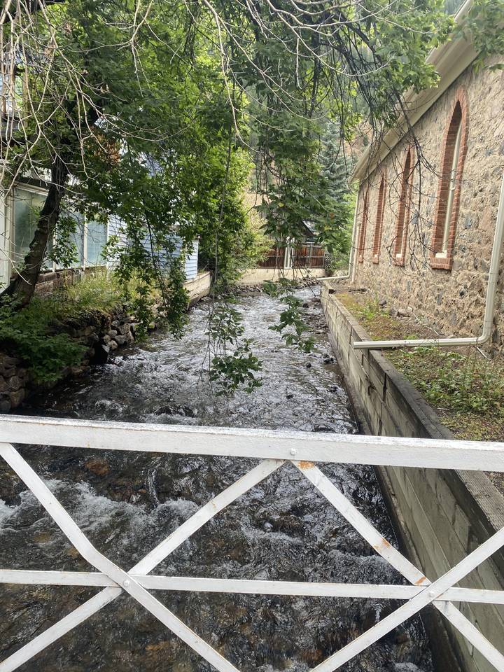 Pont rustique au-dessus d'une rivière près d'une forêt.