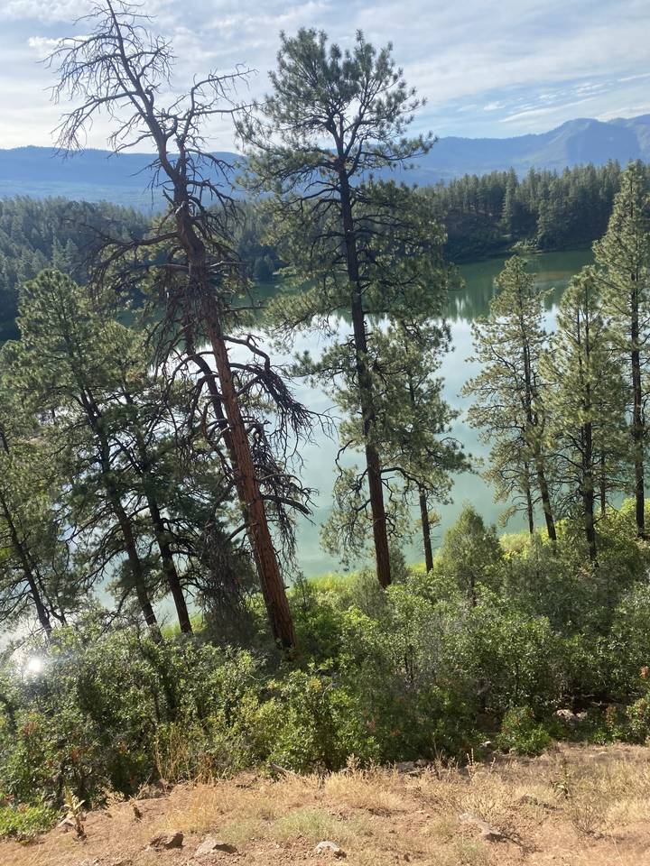 Lac entouré d'une dense forêt de pins.