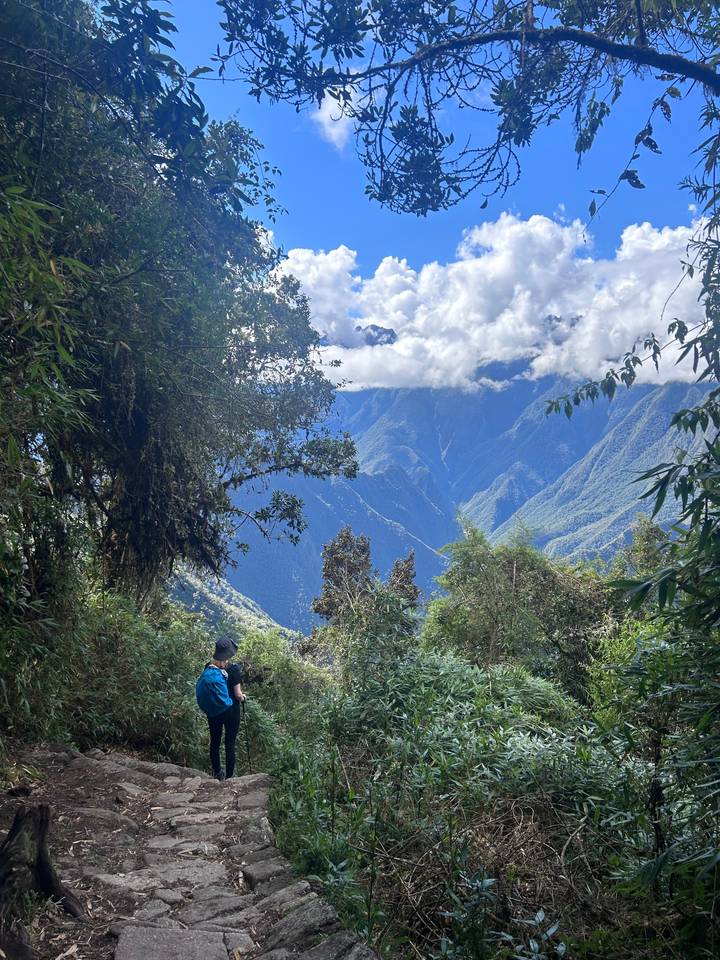 Hiker in a lush mountain landscape with clouds.
