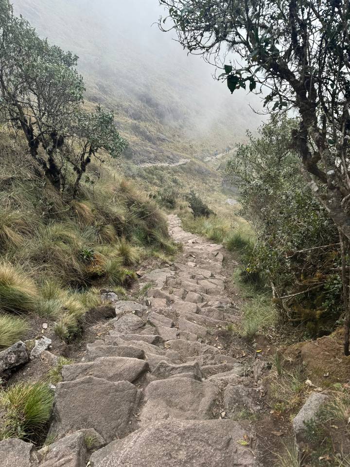 Stony path through forested terrain on a mountainside.