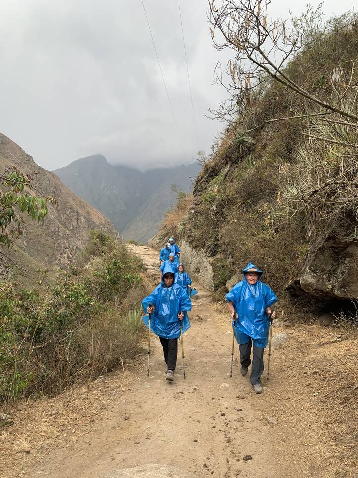Hikers in blue raincoats on a trail.