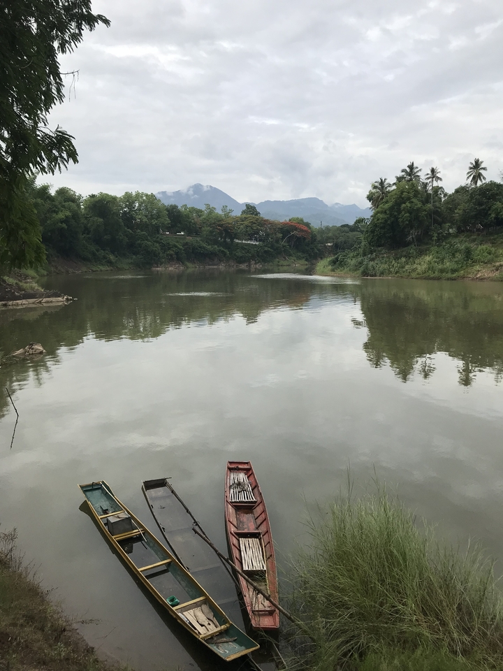 Une rivière tranquille entourée d'une végétation luxuriante par une journée claire.