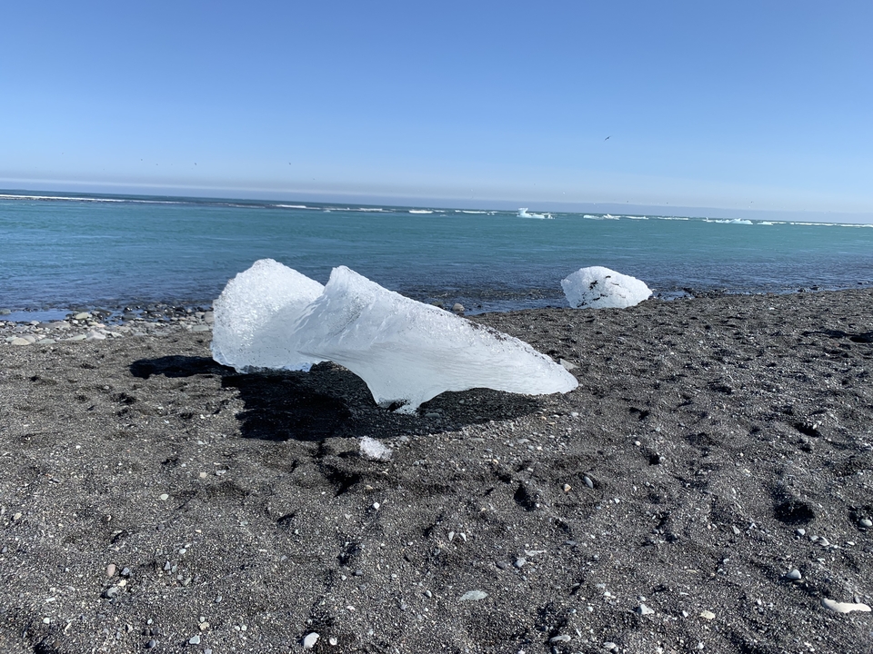 Icebergs on a black sand beach under a clear sky.