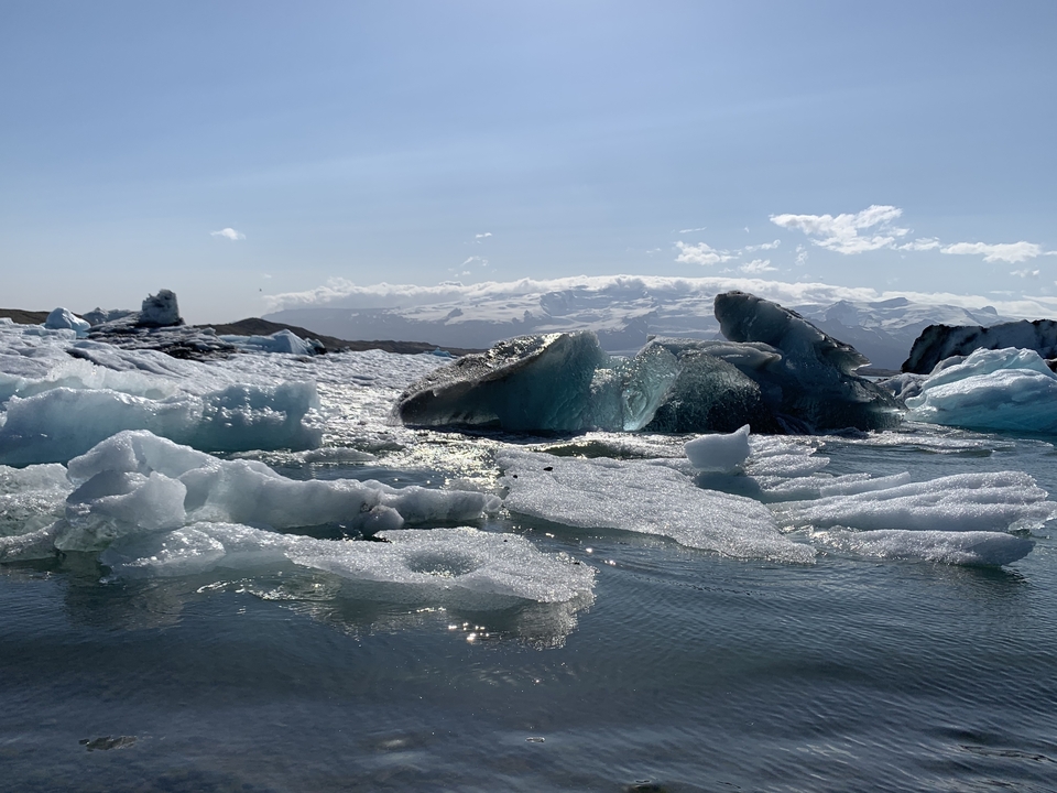 Icebergs floating in a lagoon with snowy mountains in the background on a sunny day.