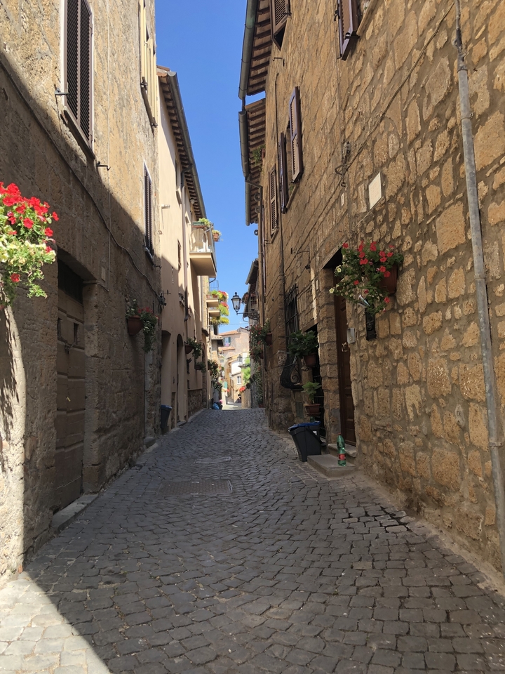 Cobblestone alley lined with stone buildings and flowers.