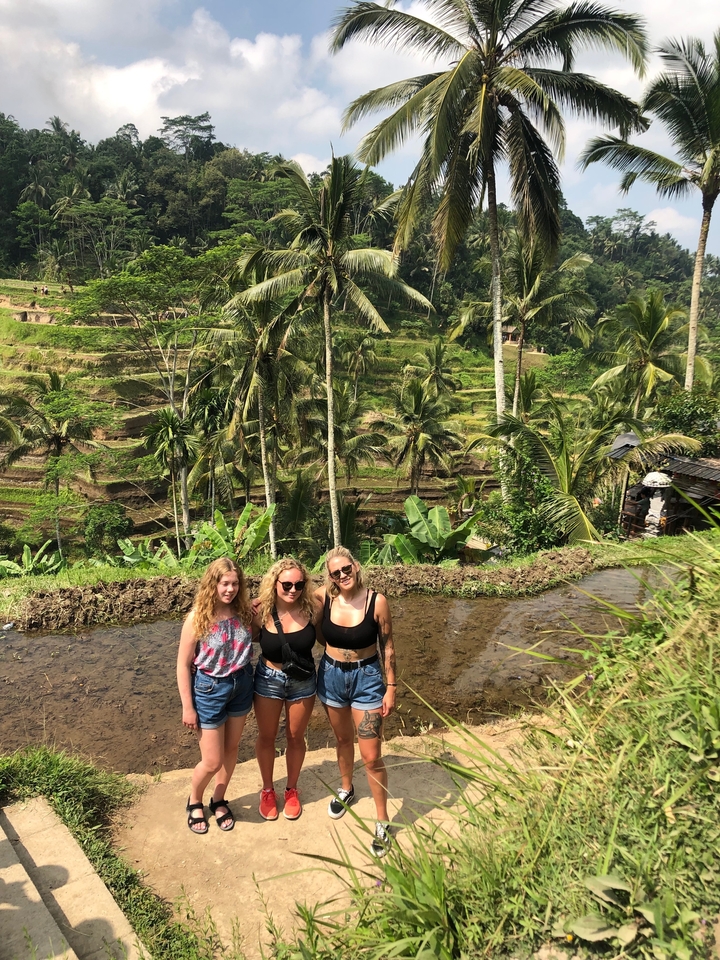Three women posing in a terraced, tropical landscape.