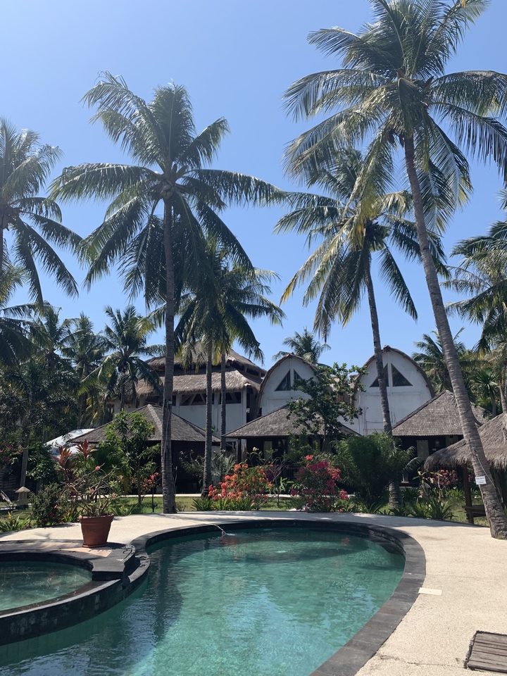 Tropical resort with palm trees and traditional buildings.
