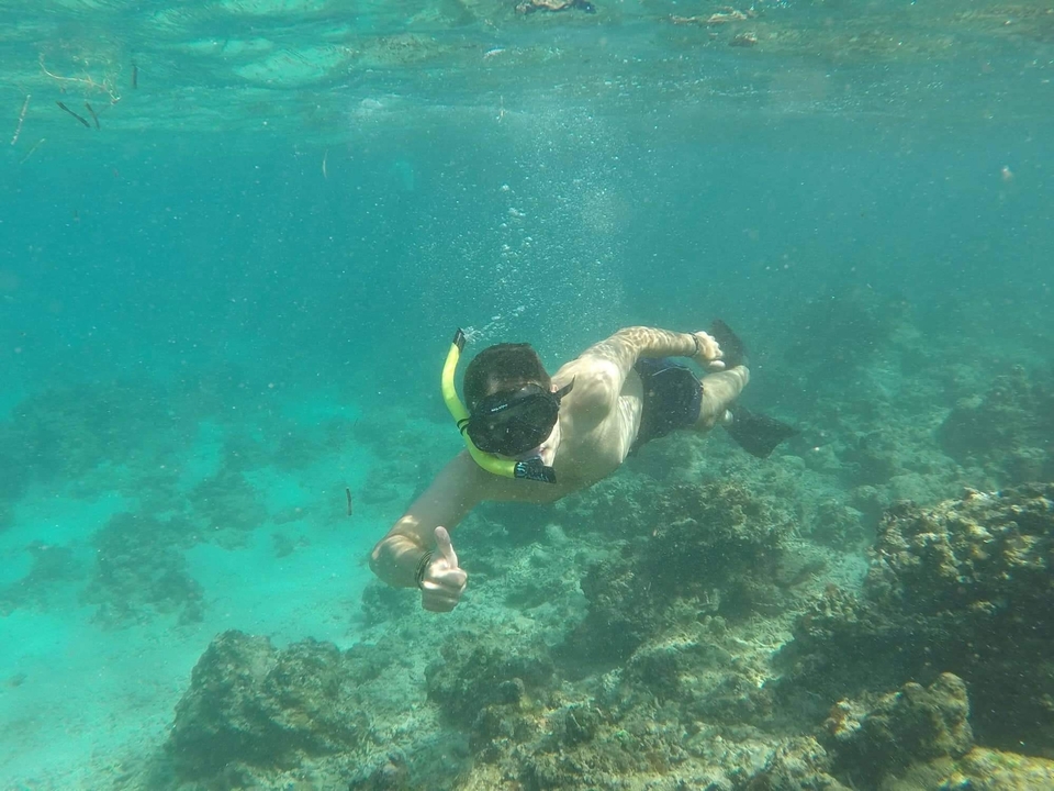 Person scuba diving underwater with coral reefs.