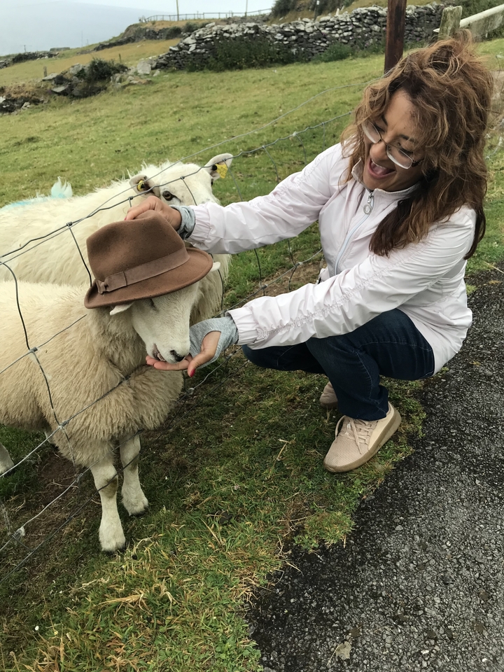 Femme donnant à manger à un mouton qui porte un chapeau.