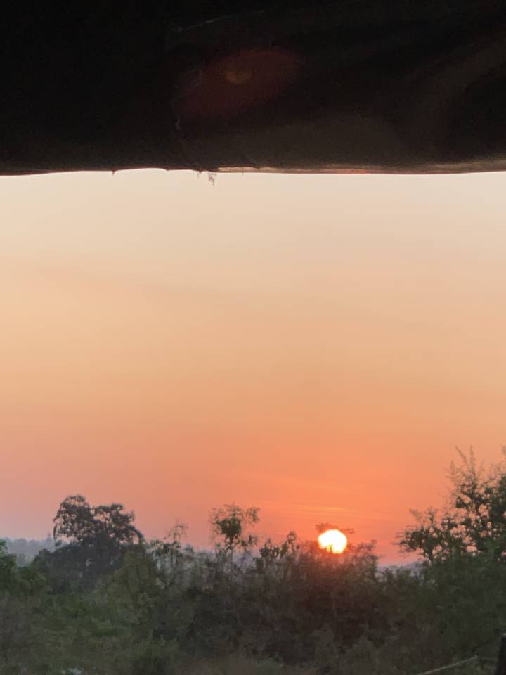 Sunset view with a silhouetted tree line.