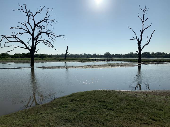 Reflection of trees in a lake under the sky.