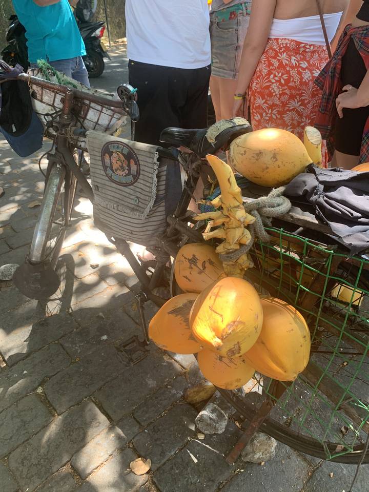 Bicycle with coconuts on display at a market.