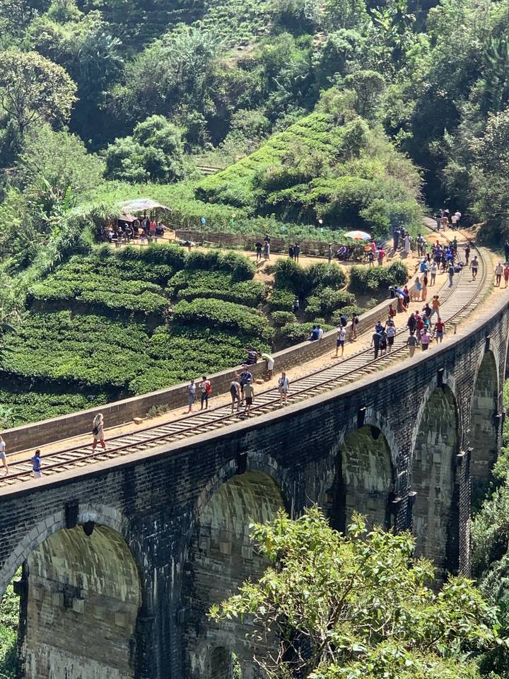 Tourists standing on a bridge over foliage.