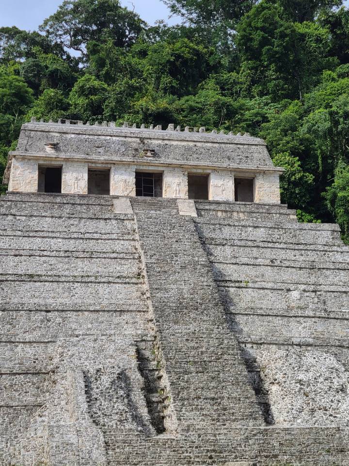 Stone ruins of an ancient building with a dense green forest backdrop.