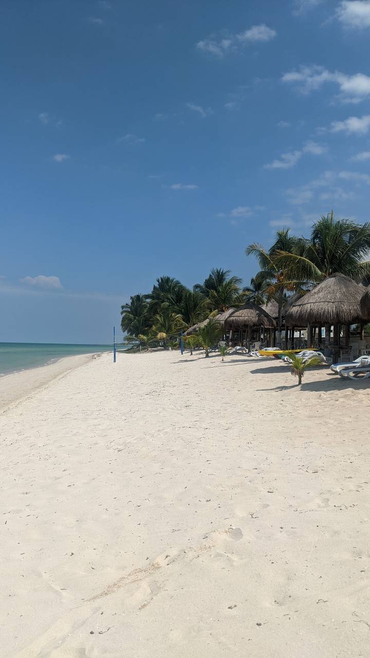 Tropical beach with palm trees and clear blue sky.