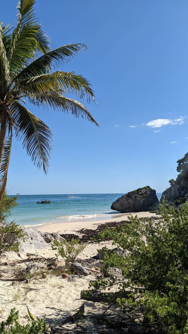Tropical beach with palm trees and turquoise waters
