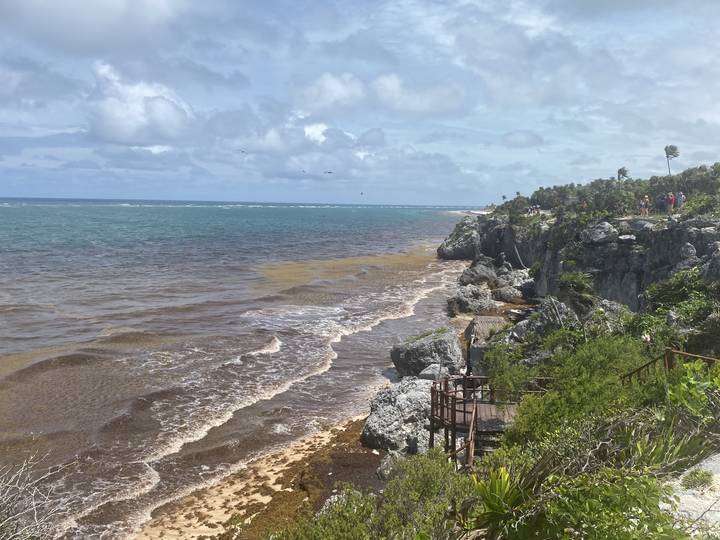 A rocky beach and ocean with trees and coastline.