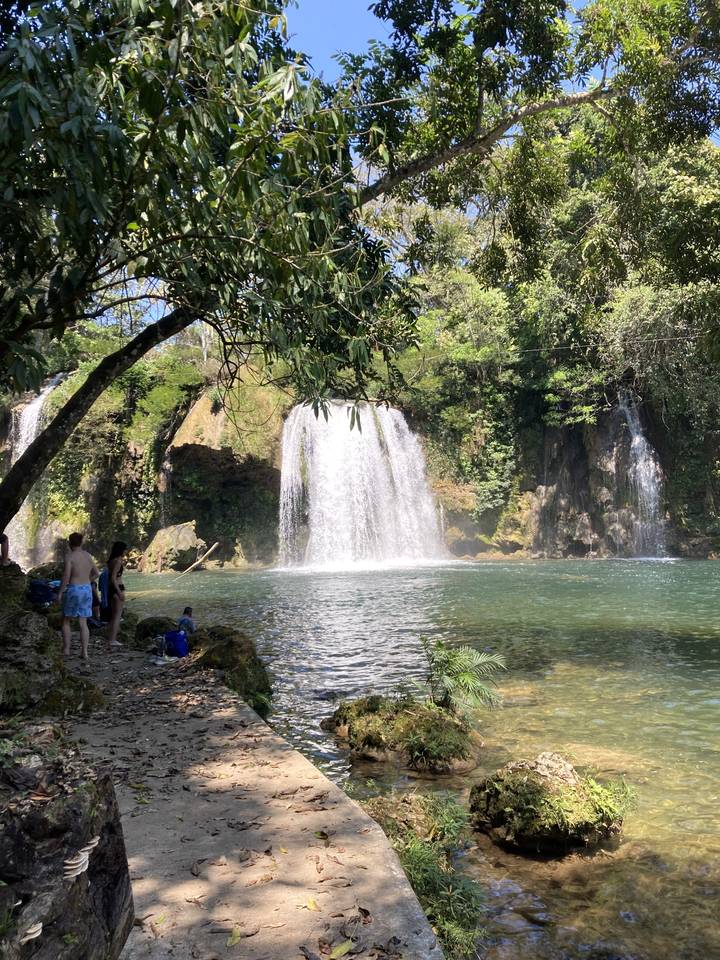 A waterfall in a lush green area.