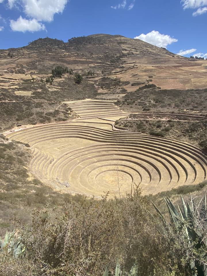 Terrasses agricoles circulaires connues sous le nom de Moray, avec un ciel bleu au-dessus.