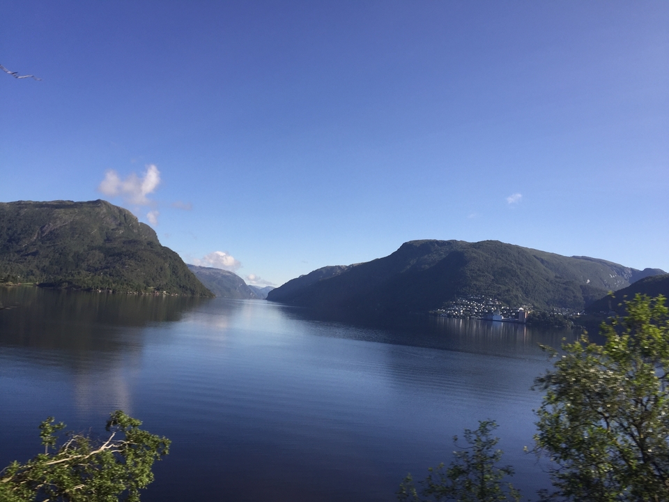 Scenic fjord view with calm waters.