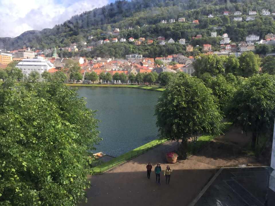 Cityscape with water and greenery.