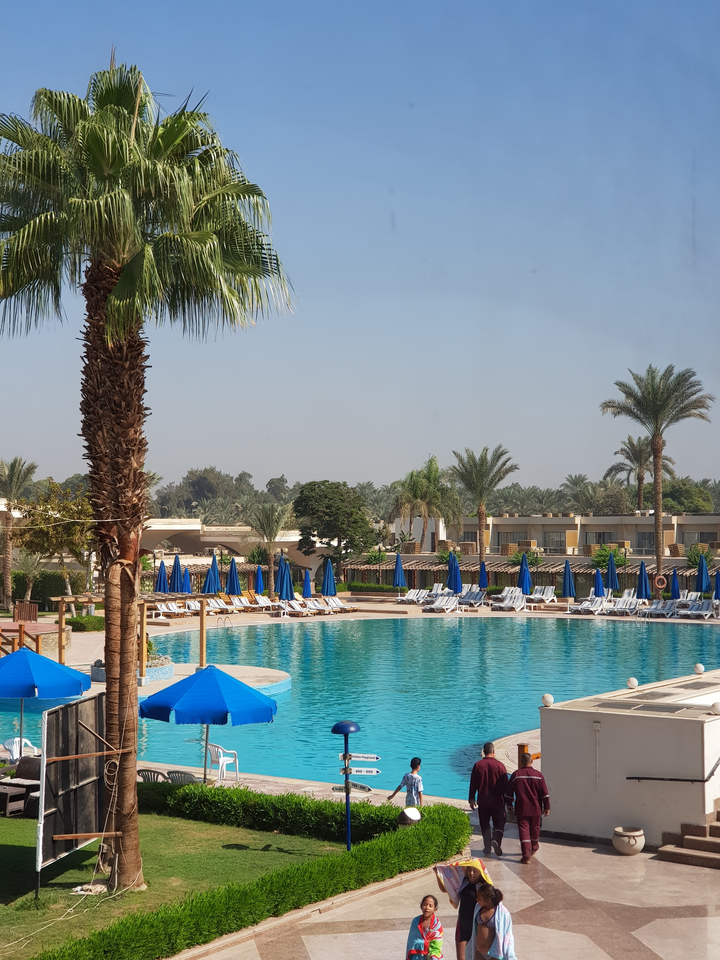 Pool area with sun loungers surrounded by palm trees.