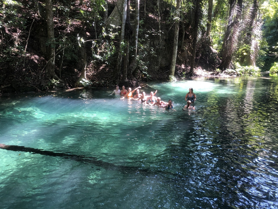 Des gens qui nagent dans un bassin naturel limpide entouré d'arbres.