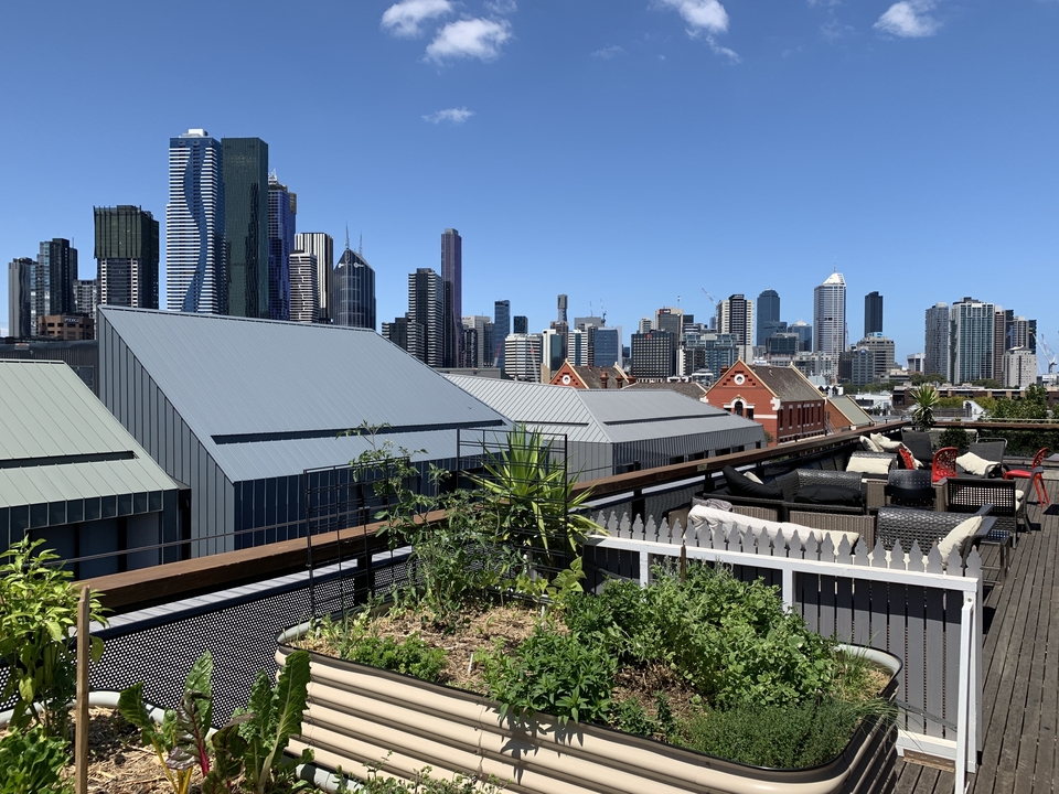 Jardin sur le toit avec vue sur un horizon de ville moderne.