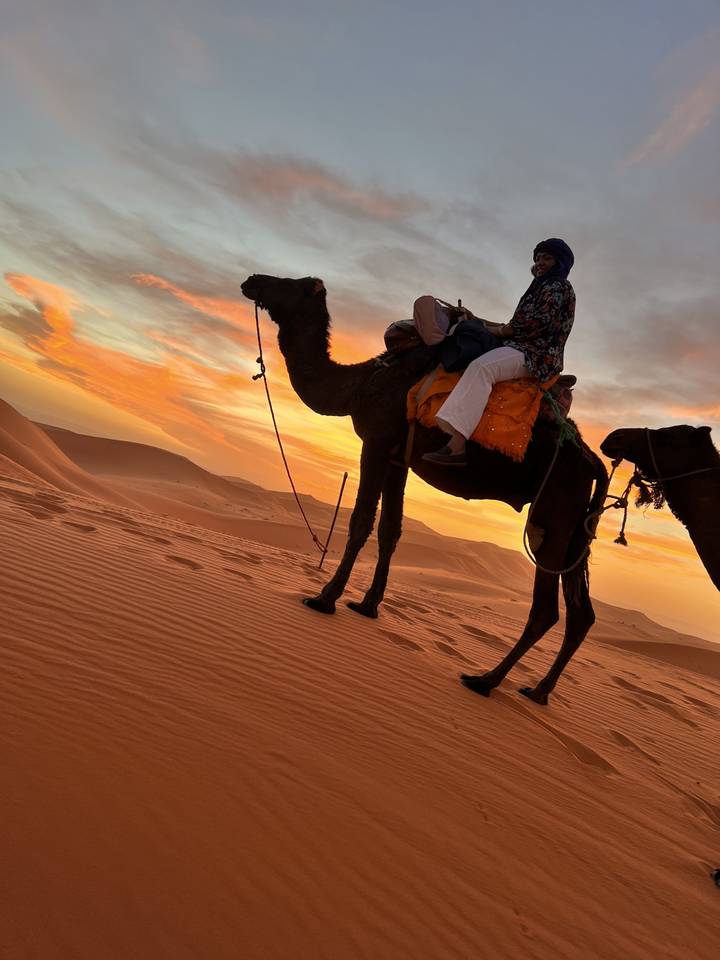 Camel and person in a desert with sunset.