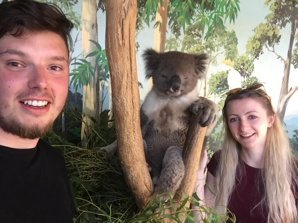 Two people taking a selfie with a koala in the background.