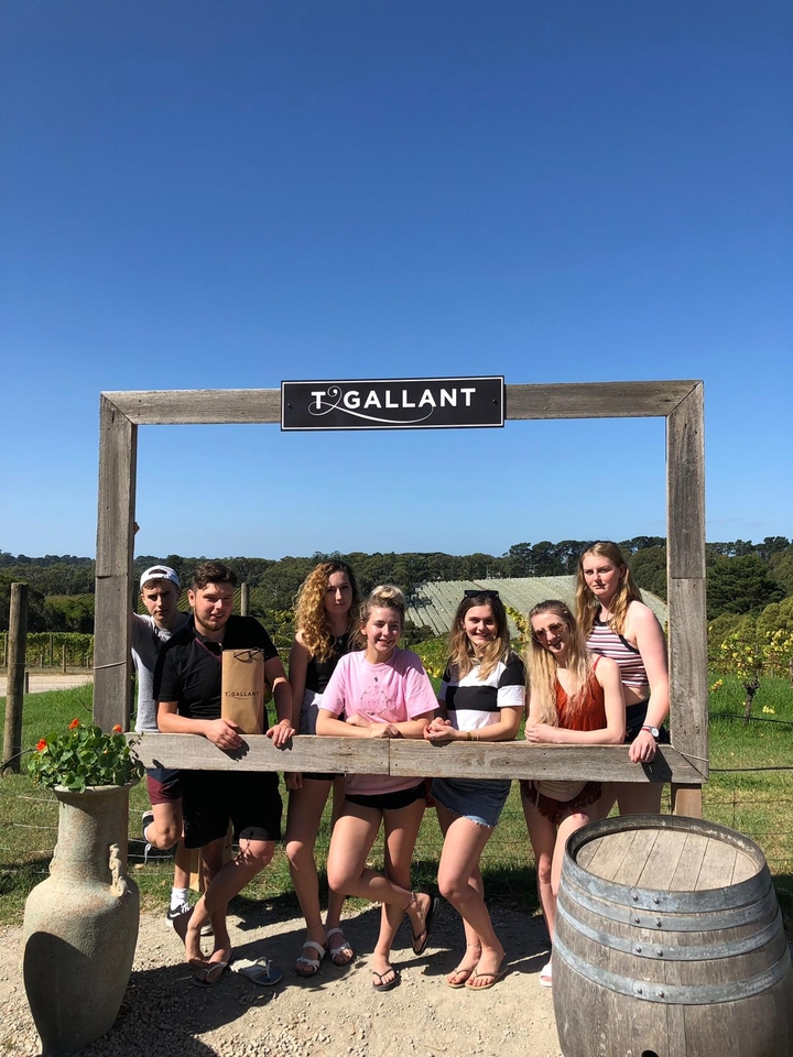 Group of people posing in front of a vineyard sign.