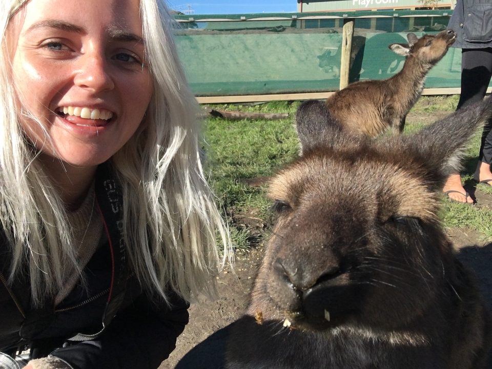 Woman taking a selfie with a kangaroo.