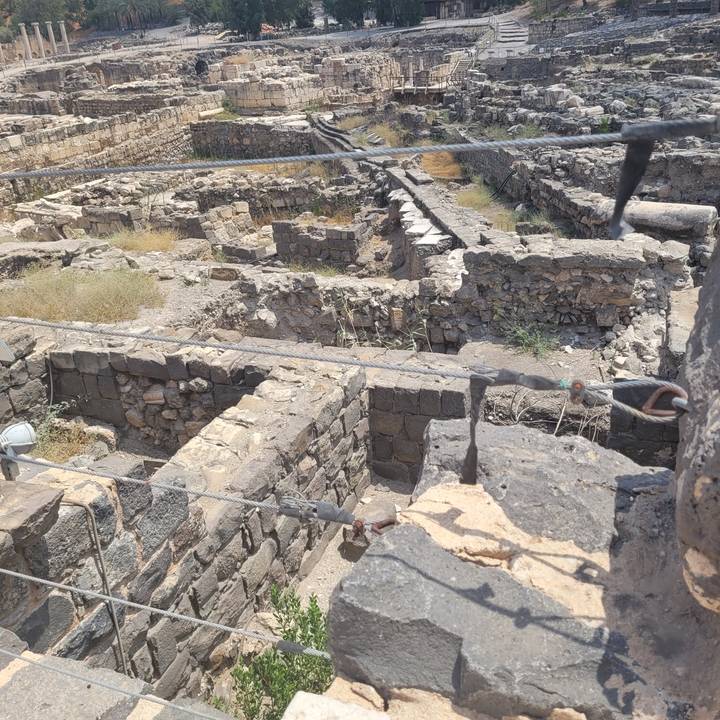 Ruines de pierre envahies par la végétation.