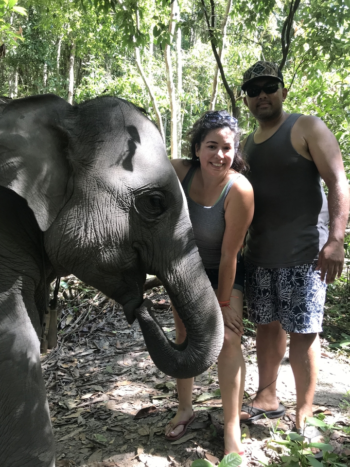 Couple posing with an elephant in a jungle setting.