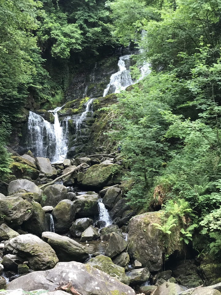 A lush waterfall cascading over rocks in a forest setting.