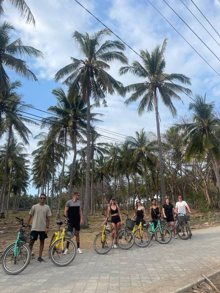 People on bicycles under palm trees.