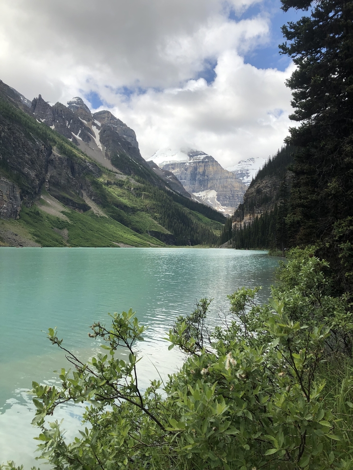 Serene lake with mountains and evergreen trees.