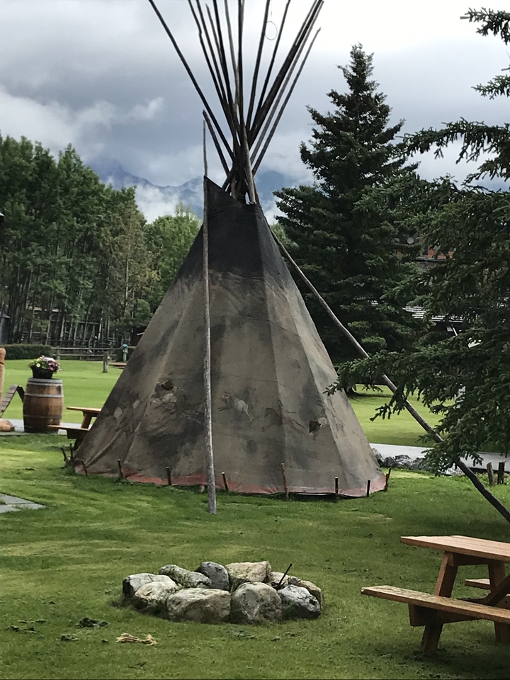 Teepee set up in a grassy area with trees nearby.